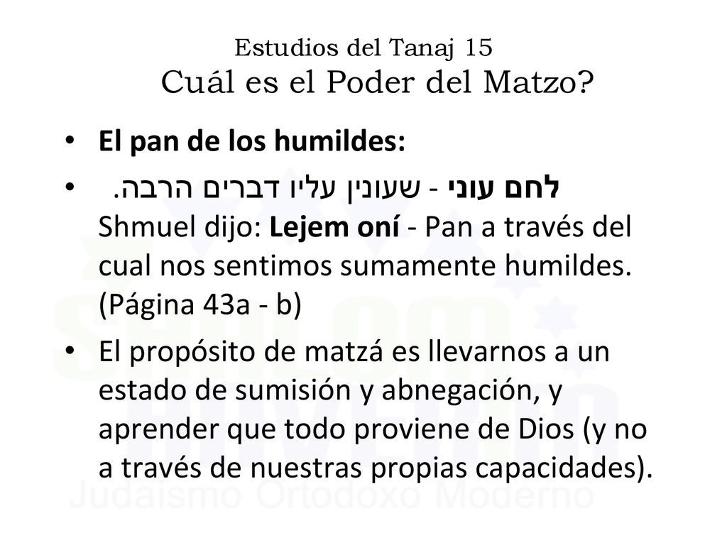 Estudios del Tanaj 15 Cuál es el Poder del Matzo