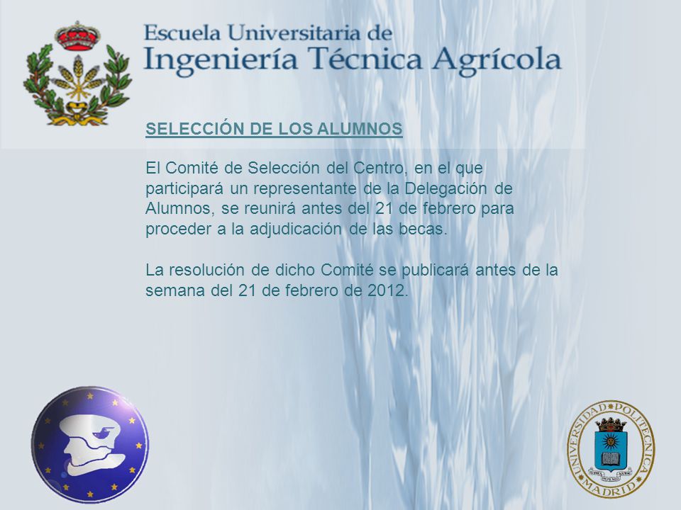 selección de los alumnos El Comité de Selección del Centro, en el que participará un representante de la Delegación de Alumnos, se reunirá antes del 21 de febrero para proceder a la adjudicación de las becas.