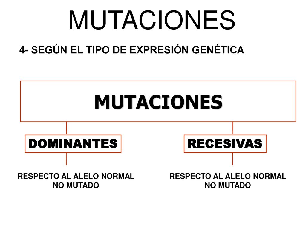 RESPECTO AL ALELO NORMAL NO MUTADO RESPECTO AL ALELO NORMAL NO MUTADO