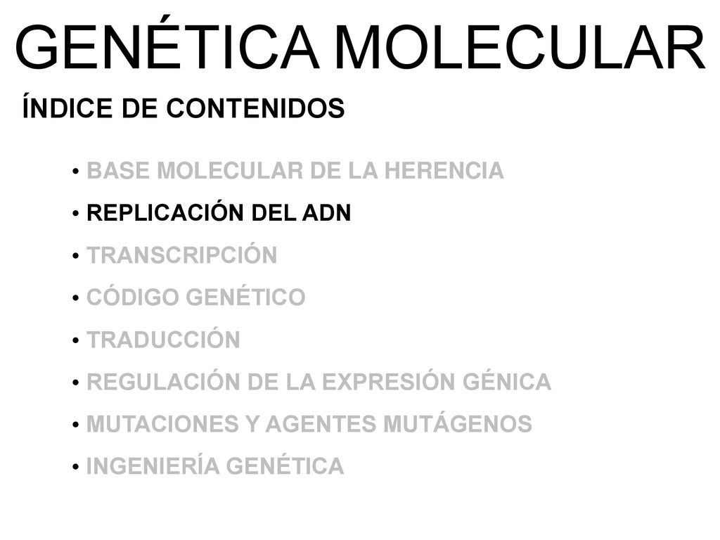 GENÉTICA MOLECULAR ÍNDICE DE CONTENIDOS BASE MOLECULAR DE LA HERENCIA