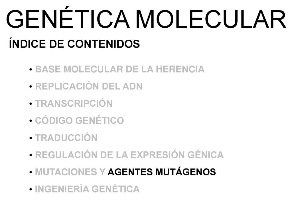GENÉTICA MOLECULAR ÍNDICE DE CONTENIDOS BASE MOLECULAR DE LA HERENCIA