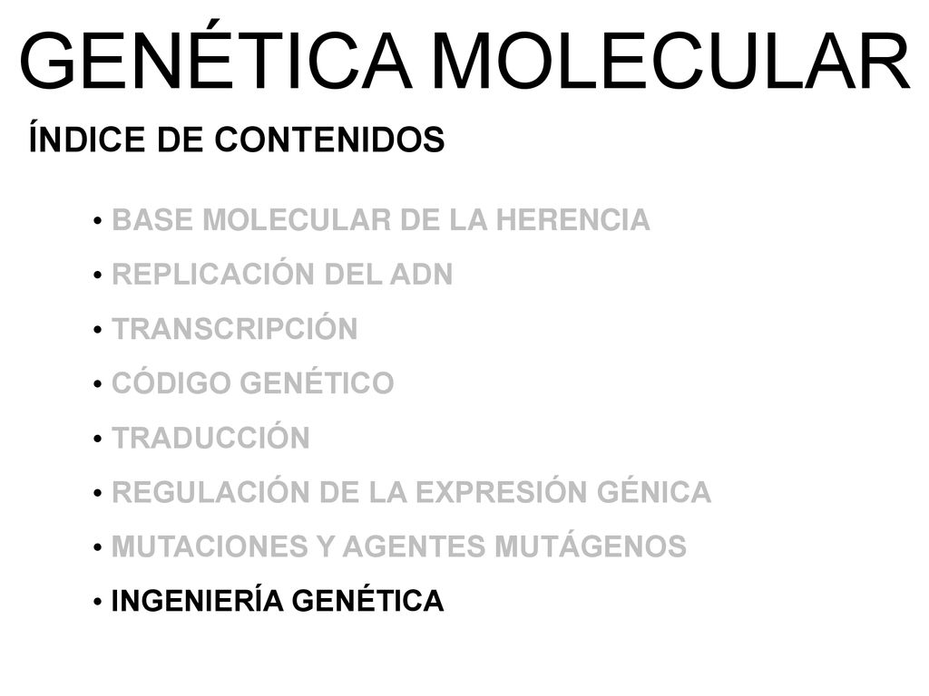 GENÉTICA MOLECULAR ÍNDICE DE CONTENIDOS BASE MOLECULAR DE LA HERENCIA