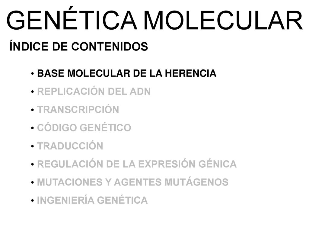 GENÉTICA MOLECULAR ÍNDICE DE CONTENIDOS BASE MOLECULAR DE LA HERENCIA