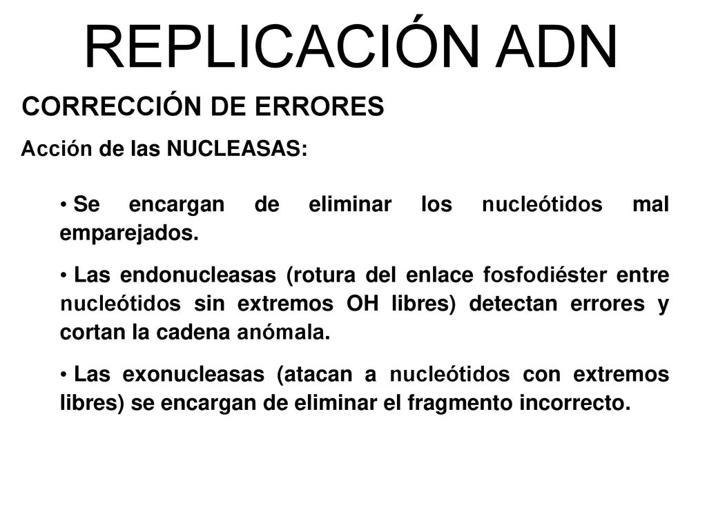 REPLICACIÓN ADN CORRECCIÓN DE ERRORES Acción de las NUCLEASAS: