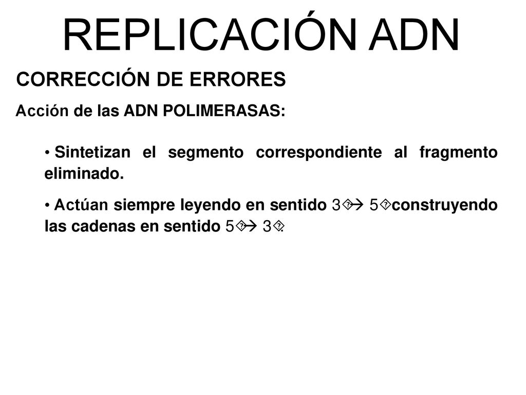 REPLICACIÓN ADN CORRECCIÓN DE ERRORES Acción de las ADN POLIMERASAS: