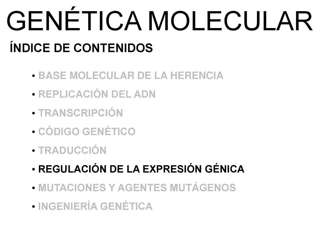 GENÉTICA MOLECULAR ÍNDICE DE CONTENIDOS BASE MOLECULAR DE LA HERENCIA