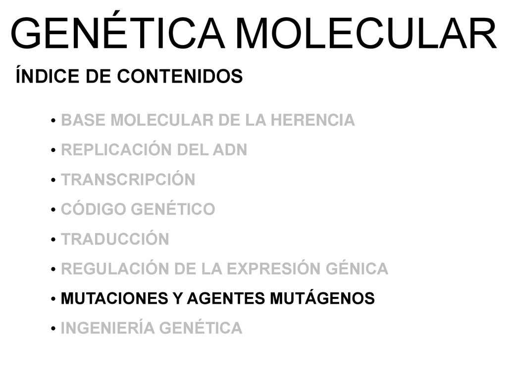 GENÉTICA MOLECULAR ÍNDICE DE CONTENIDOS BASE MOLECULAR DE LA HERENCIA
