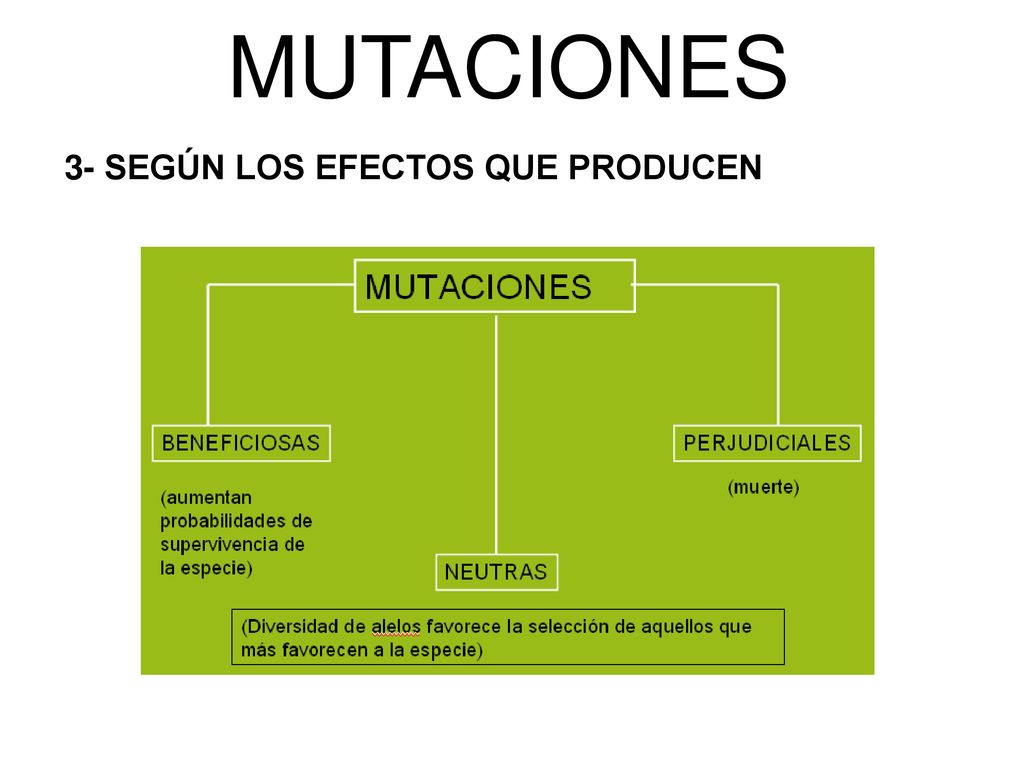 MUTACIONES 3- SEGÚN LOS EFECTOS QUE PRODUCEN