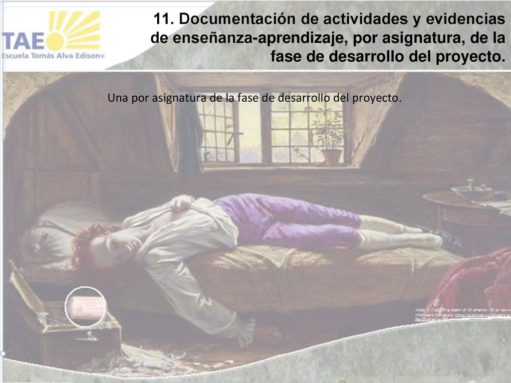 11. Documentación de actividades y evidencias de enseñanza-aprendizaje, por asignatura, de la fase de desarrollo del proyecto.