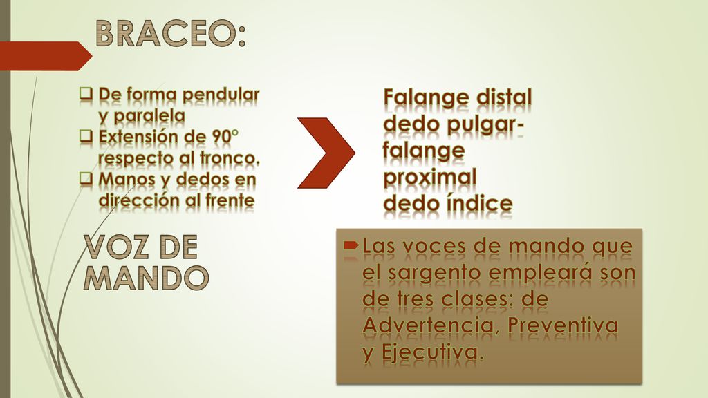 BRACEO: De forma pendular y paralela. Extensión de 90° respecto al tronco. Manos y dedos en dirección al frente.