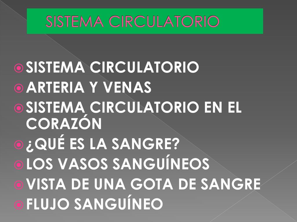 SISTEMA CIRCULATORIO SISTEMA CIRCULATORIO. ARTERIA Y VENAS. SISTEMA CIRCULATORIO EN EL CORAZÓN. ¿QUÉ ES LA SANGRE