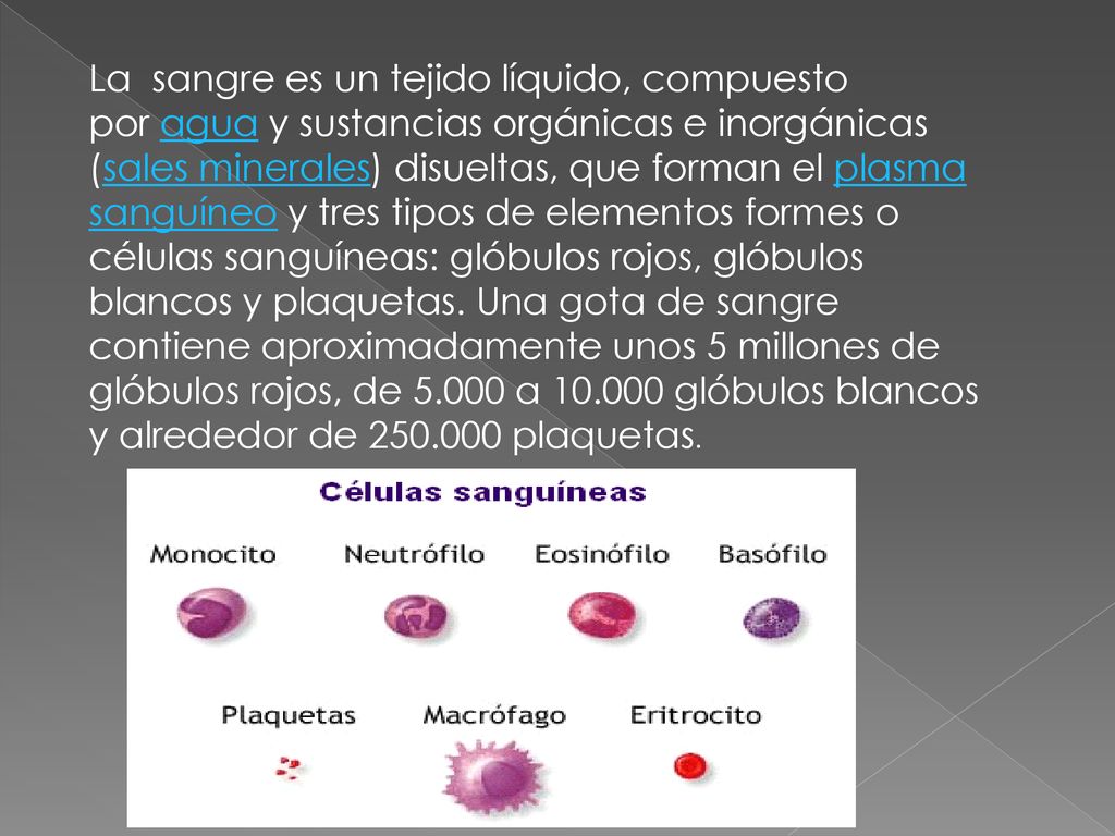 La sangre es un tejido líquido, compuesto por agua y sustancias orgánicas e inorgánicas (sales minerales) disueltas, que forman el plasma sanguíneo y tres tipos de elementos formes o células sanguíneas: glóbulos rojos, glóbulos blancos y plaquetas.