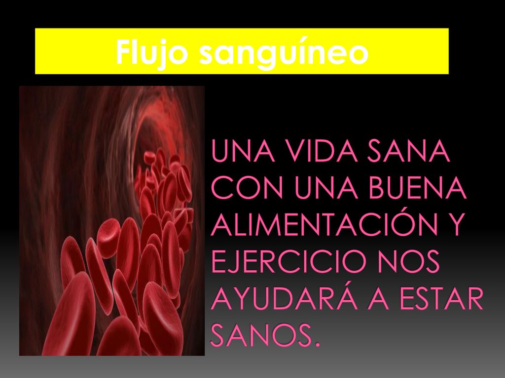 Flujo sanguíneo Una vida sana con una buena alimentación y ejercicio nos ayudará a estar sanos.