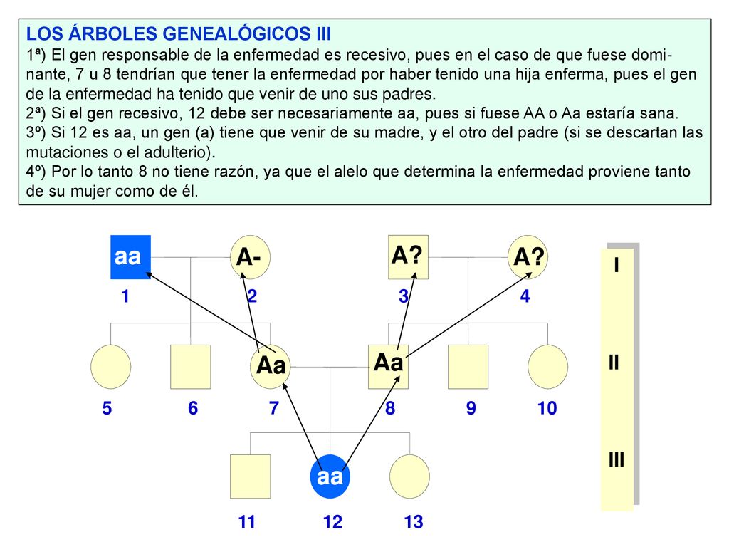 aa A- A A Aa Aa aa I II III LOS ÁRBOLES GENEALÓGICOS III