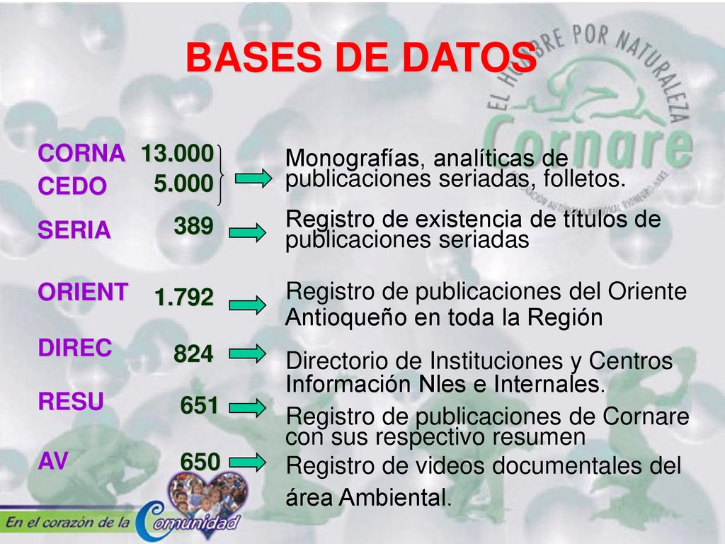 BASES DE DATOS CORNA CEDO SERIA ORIENT DIREC RESU AV