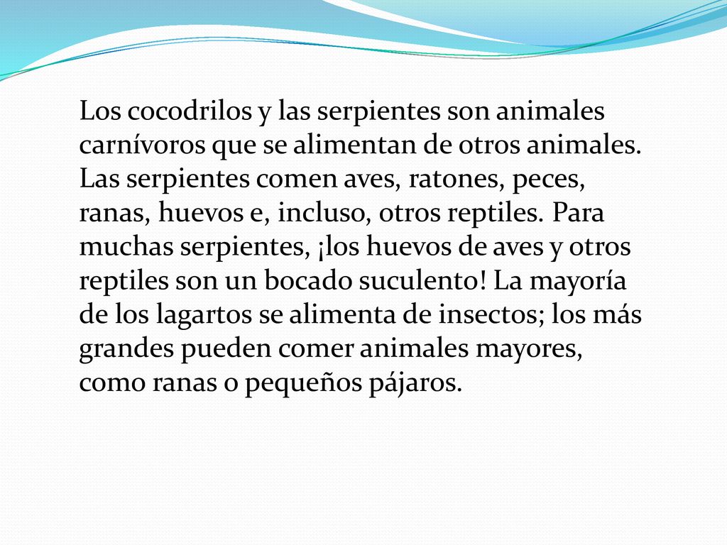 Los cocodrilos y las serpientes son animales carnívoros que se alimentan de otros animales.