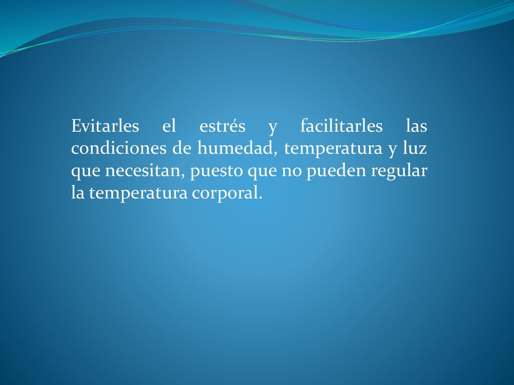 Evitarles el estrés y facilitarles las condiciones de humedad, temperatura y luz que necesitan, puesto que no pueden regular la temperatura corporal.