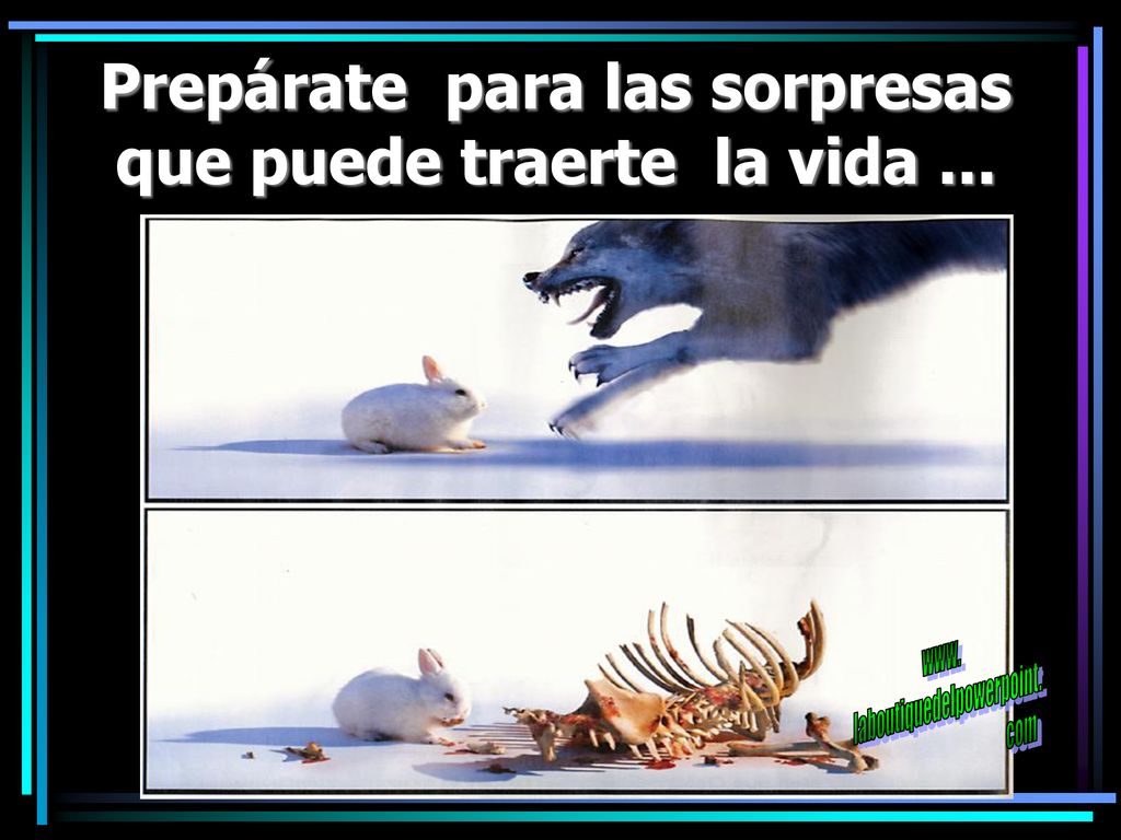 Prepárate para las sorpresas que puede traerte la vida ...