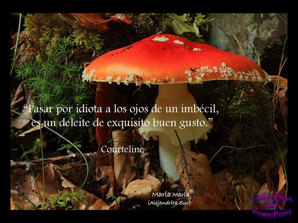 Pasar por idiota a los ojos de un imbécil,