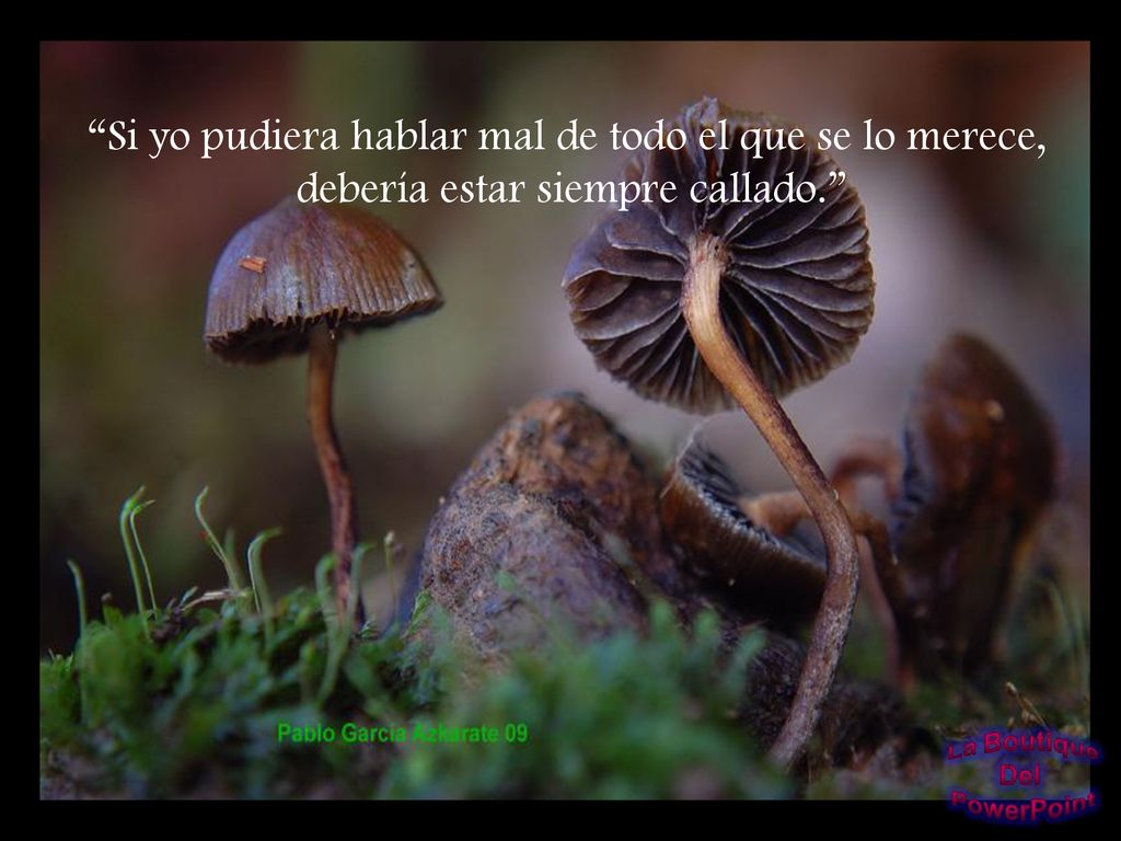 Si yo pudiera hablar mal de todo el que se lo merece,