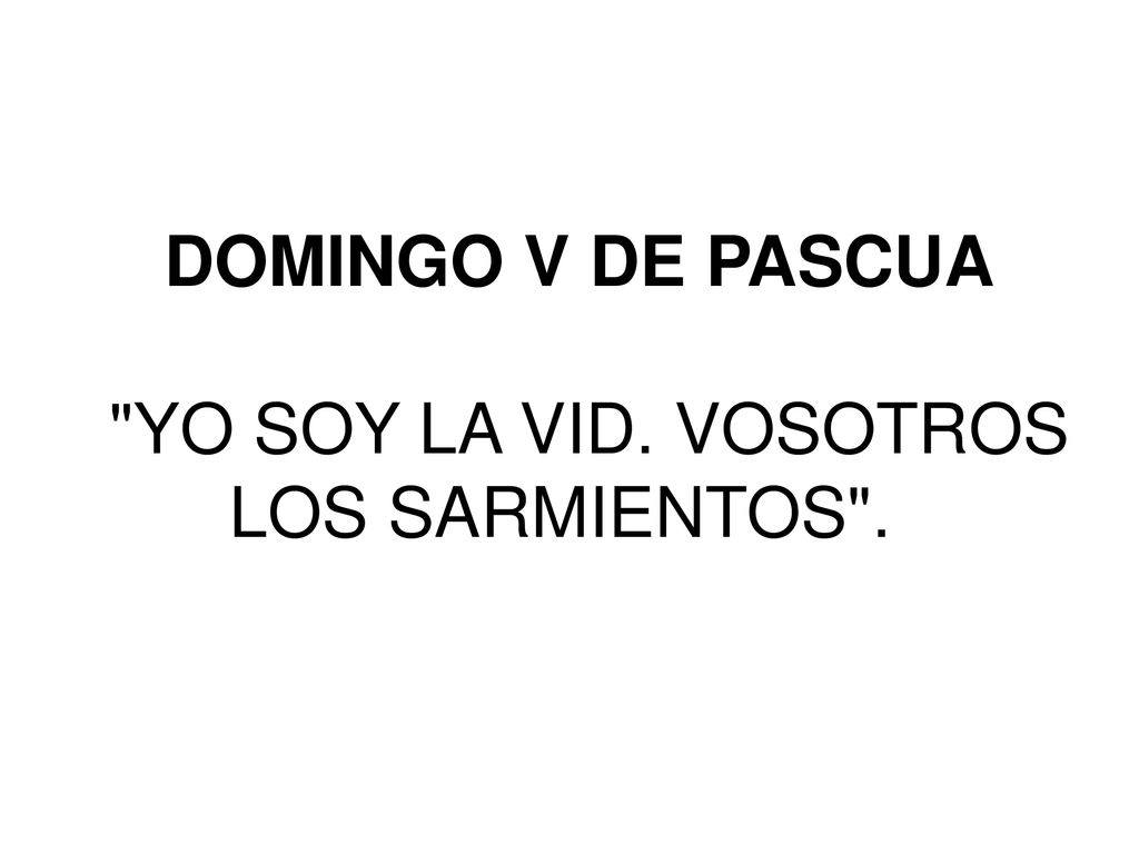 DOMINGO V DE PASCUA YO SOY LA VID. VOSOTROS LOS SARMIENTOS .