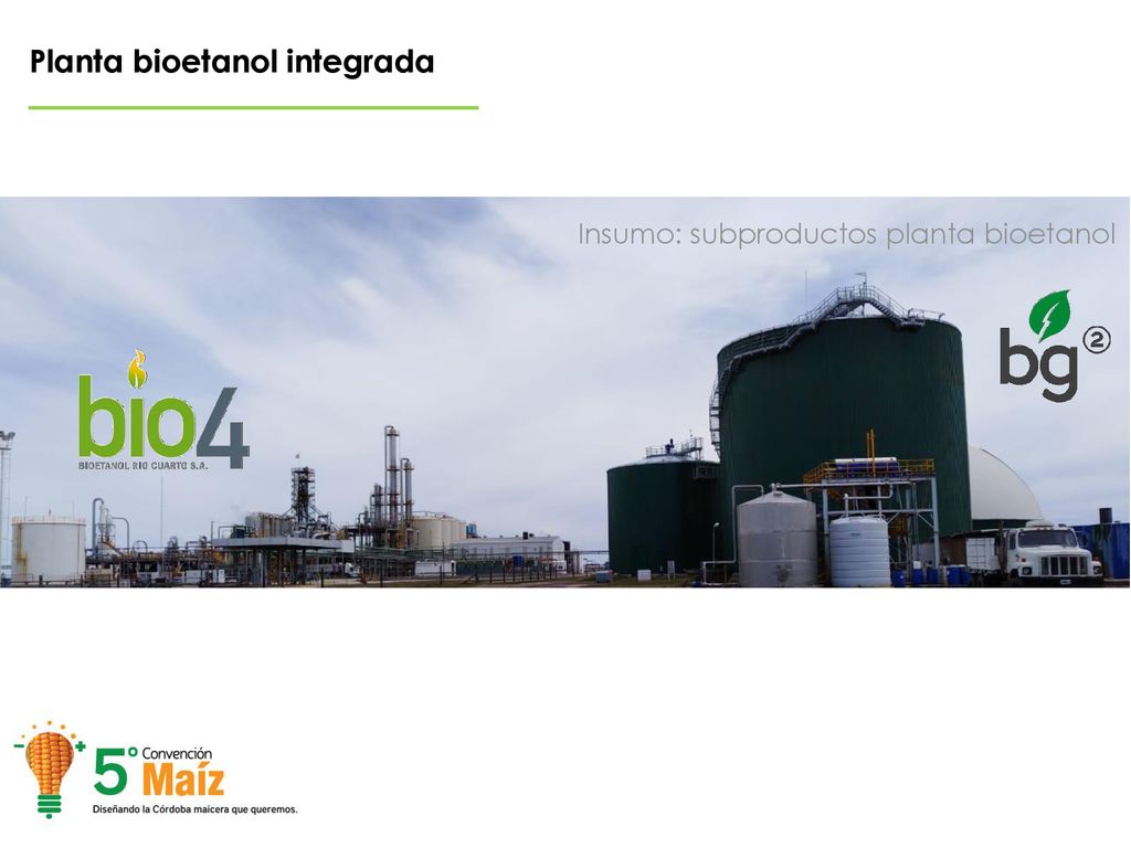 Insumo: subproductos planta bioetanol
