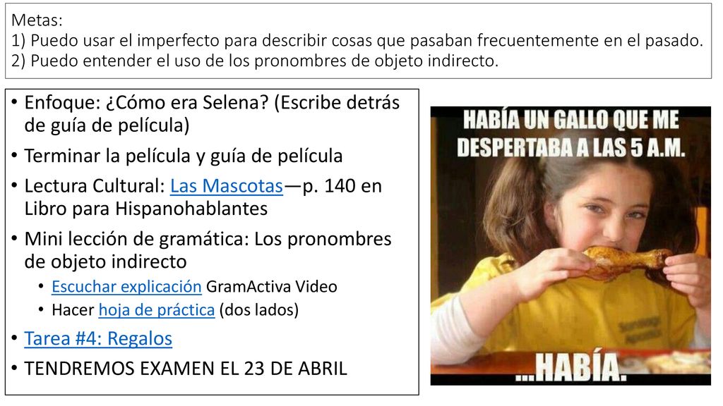 Enfoque: ¿Cómo era Selena (Escribe detrás de guía de película)