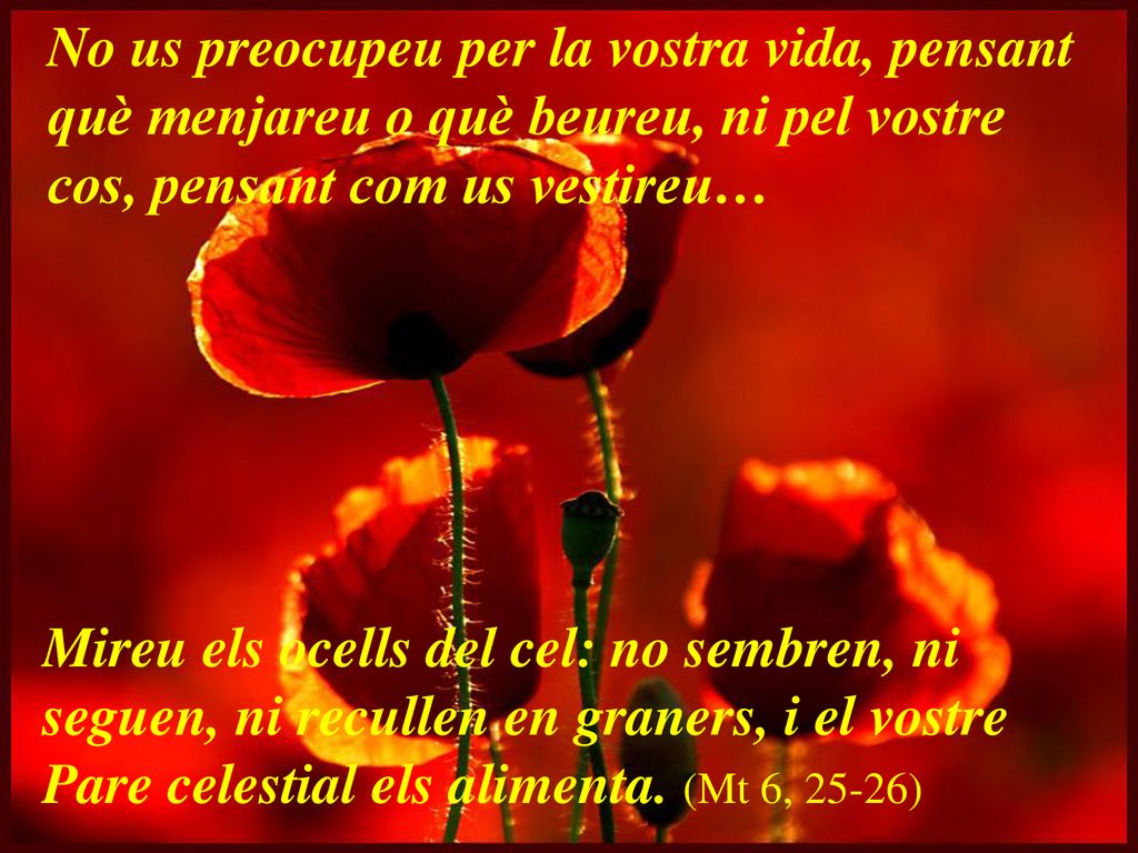 No us preocupeu per la vostra vida, pensant què menjareu o què beureu, ni pel vostre cos, pensant com us vestireu…