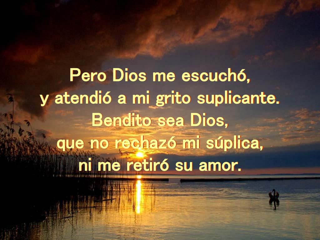 y atendió a mi grito suplicante. que no rechazó mi súplica,