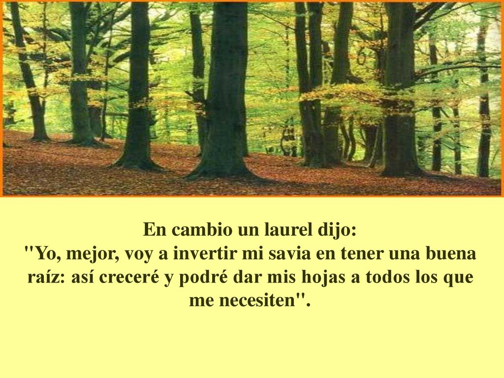En cambio un laurel dijo: Yo, mejor, voy a invertir mi savia en tener una buena raíz: así creceré y podré dar mis hojas a todos los que me necesiten .