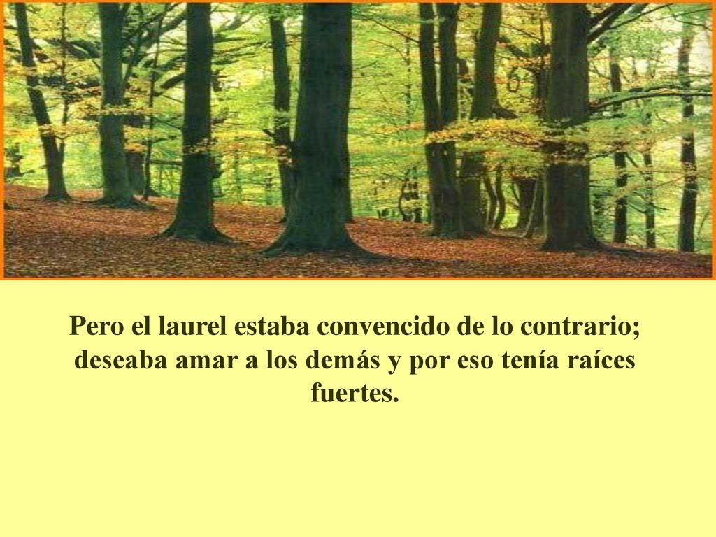 Pero el laurel estaba convencido de lo contrario; deseaba amar a los demás y por eso tenía raíces fuertes.