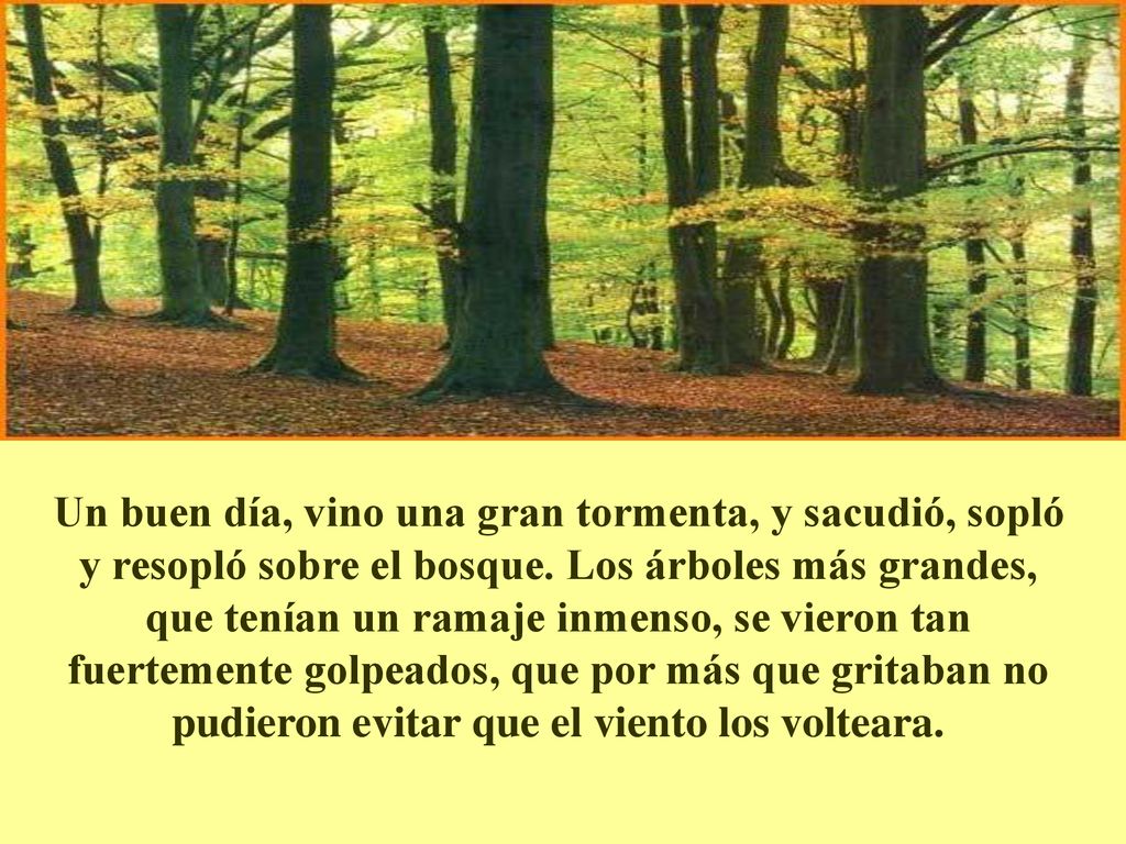 Un buen día, vino una gran tormenta, y sacudió, sopló y resopló sobre el bosque.