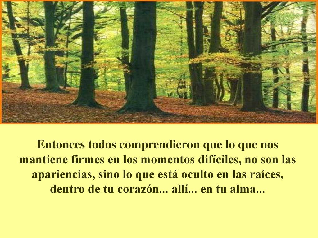Entonces todos comprendieron que lo que nos mantiene firmes en los momentos difíciles, no son las apariencias, sino lo que está oculto en las raíces, dentro de tu corazón...