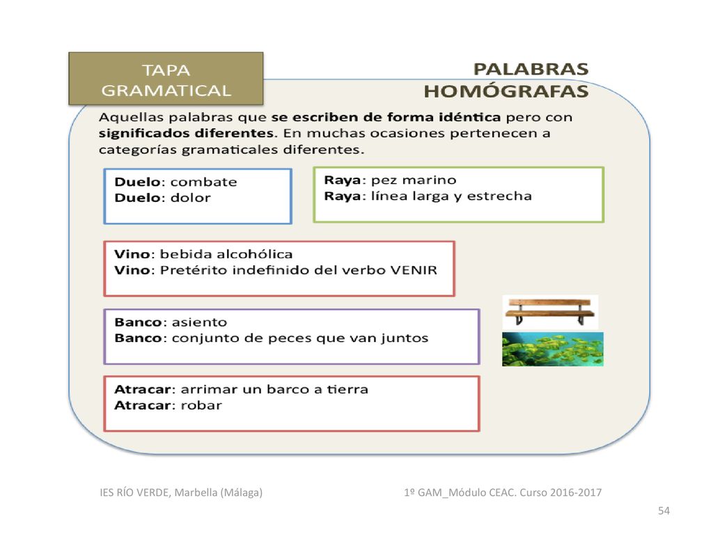 IES RÍO VERDE, Marbella (Málaga) 1º GAM_Módulo CEAC. Curso