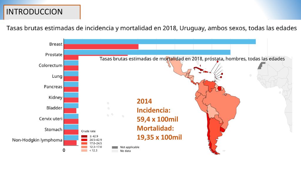 INTRODUCCION 2014 Incidencia: 59,4 x 100mil Mortalidad: 19,35 x 100mil