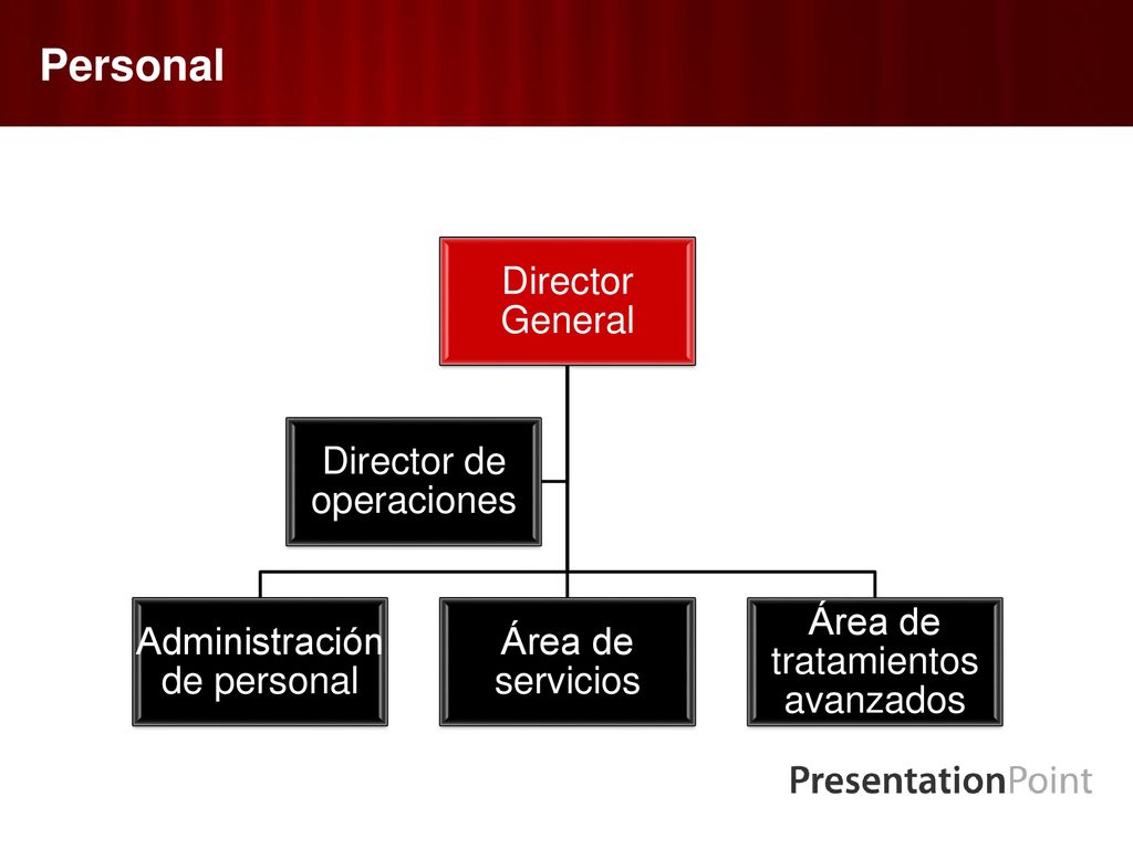 Personal Director General Administración de personal Área de servicios