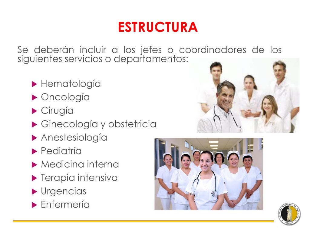 ESTRUCTURA Se deberán incluir a los jefes o coordinadores de los siguientes servicios o departamentos:
