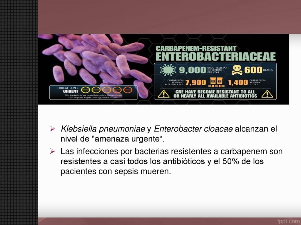 Klebsiella pneumoniae y Enterobacter cloacae alcanzan el nivel de amenaza urgente .