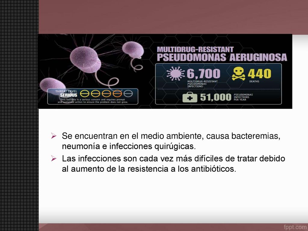 Se encuentran en el medio ambiente, causa bacteremias, neumonía e infecciones quirúgicas.