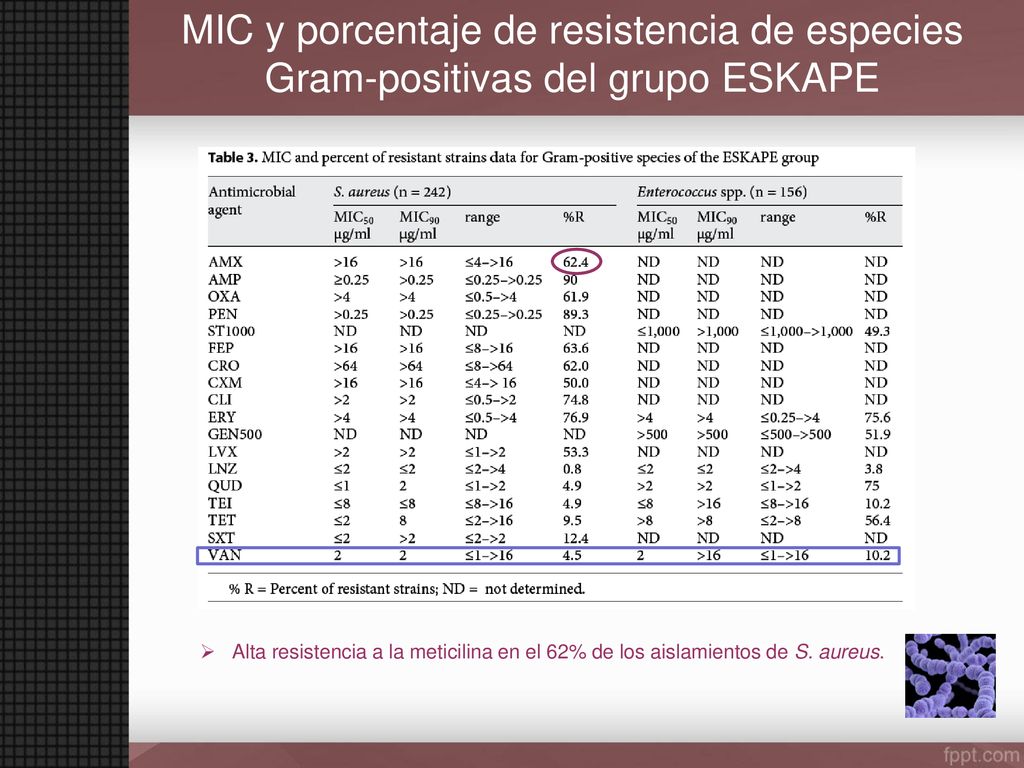 MIC y porcentaje de resistencia de especies Gram-positivas del grupo ESKAPE