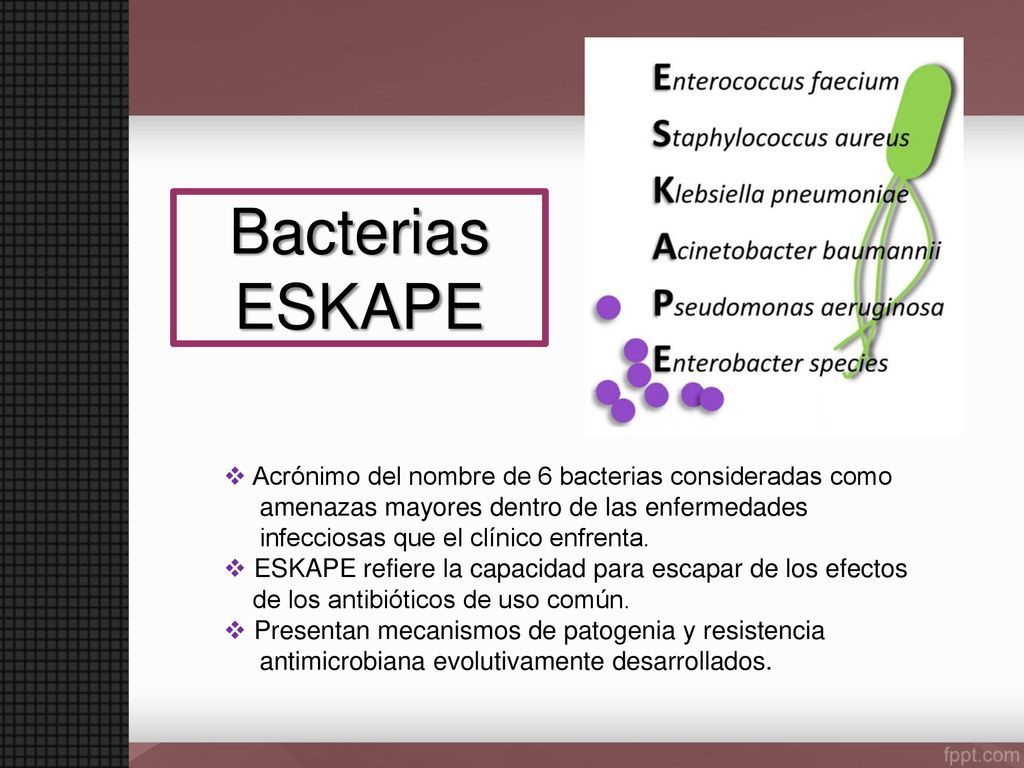 Bacterias ESKAPE Acrónimo del nombre de 6 bacterias consideradas como