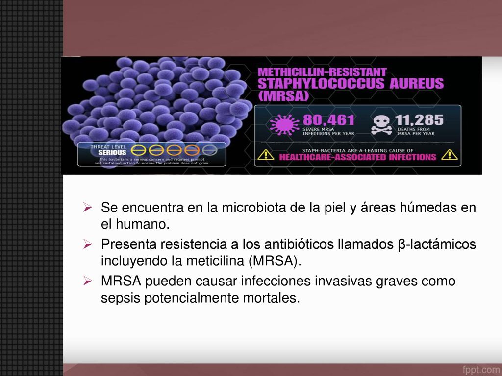 Se encuentra en la microbiota de la piel y áreas húmedas en el humano.