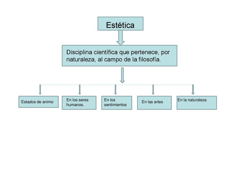 Estética Disciplina científica que pertenece, por naturaleza, al campo de la filosofía. En los seres humanos.