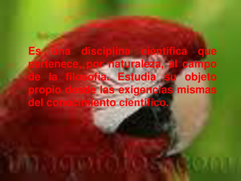 Es una disciplina científica que pertenece, por naturaleza, al campo de la filosofía.