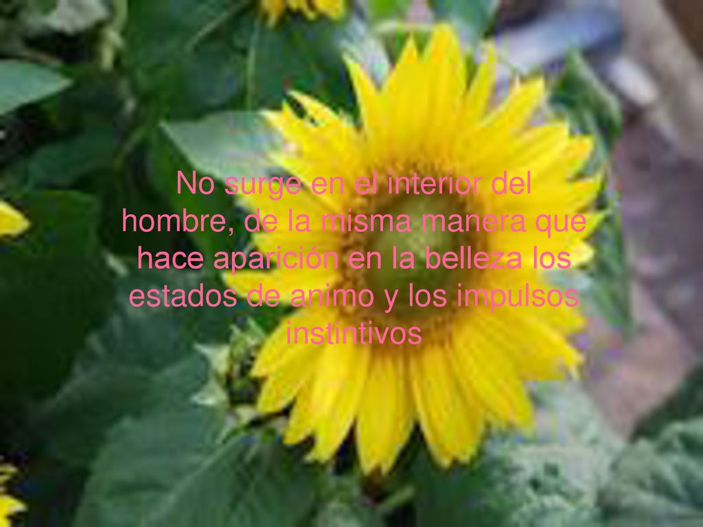 No surge en el interior del hombre, de la misma manera que hace aparición en la belleza los estados de animo y los impulsos instintivos