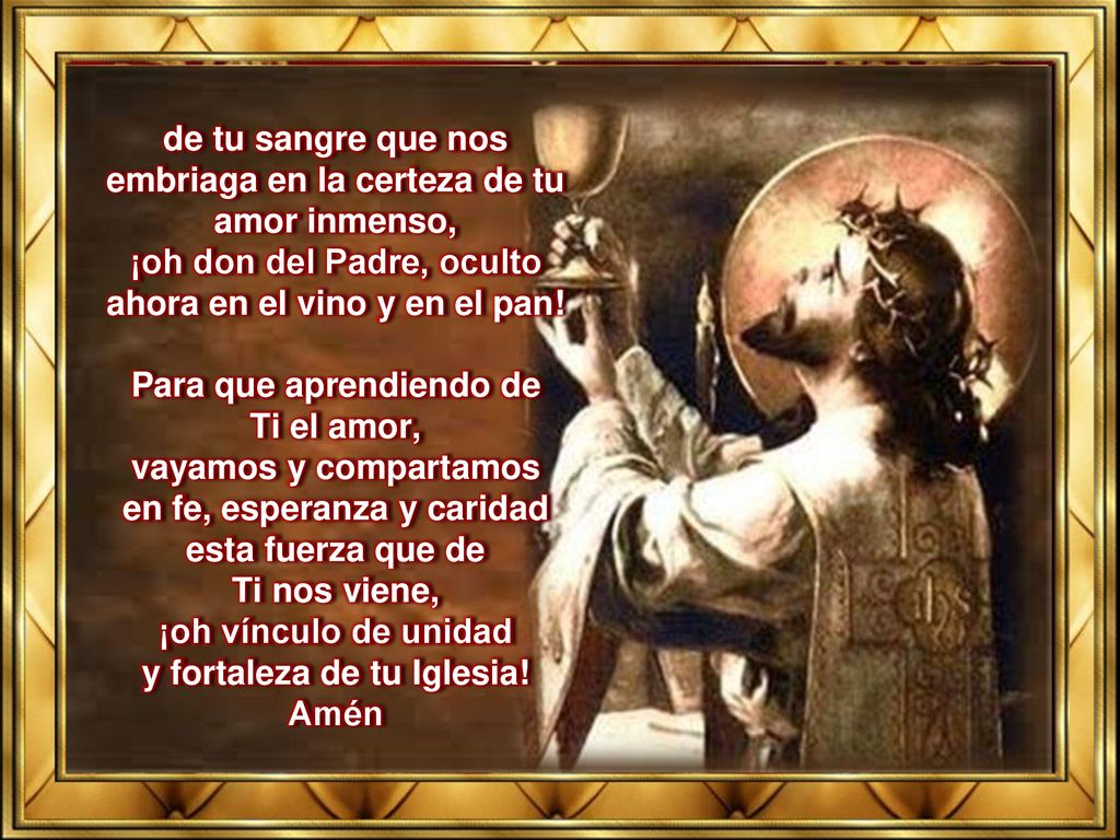 de tu sangre que nos embriaga en la certeza de tu amor inmenso,