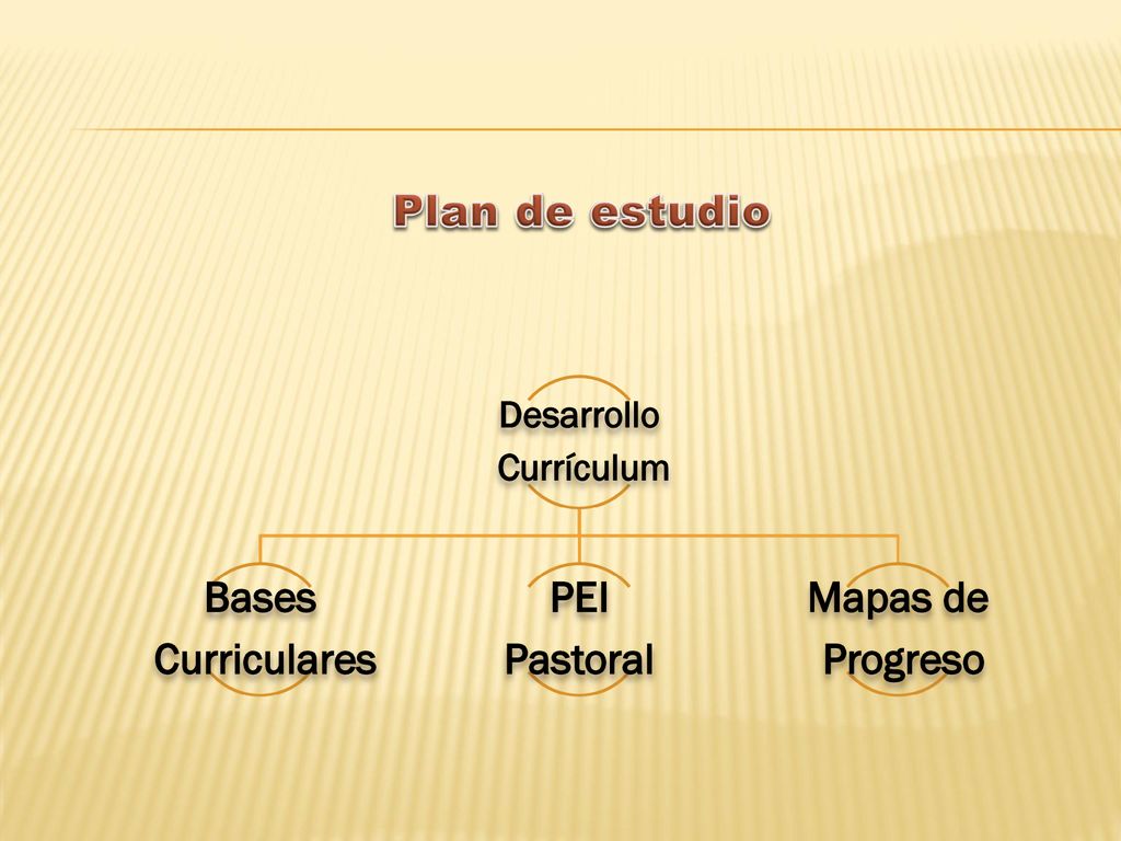 Plan de estudio Bases Curriculares PEI Pastoral Mapas de Progreso