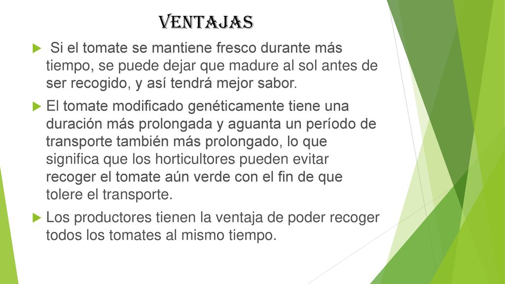 ventajas Si el tomate se mantiene fresco durante más tiempo, se puede dejar que madure al sol antes de ser recogido, y así tendrá mejor sabor.