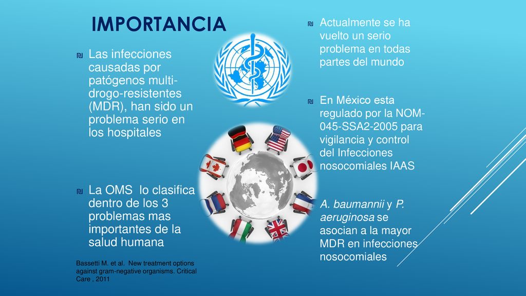 Importancia Actualmente se ha vuelto un serio problema en todas partes del mundo.