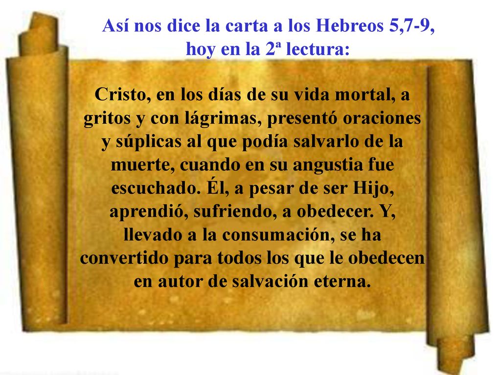 Así nos dice la carta a los Hebreos 5,7-9, hoy en la 2ª lectura: